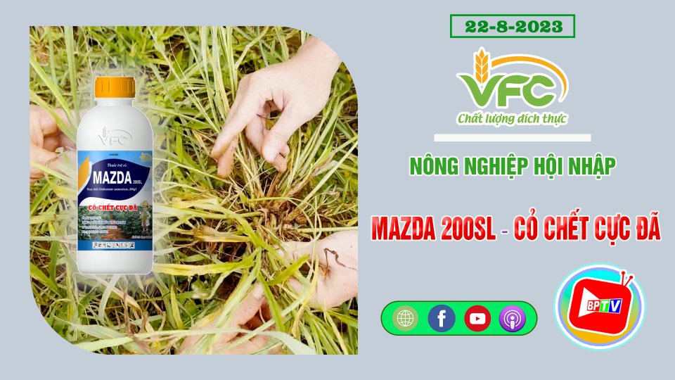 MAZDA 200SL – Cỏ chết cực đã | VFC - Nông nghiệp hội nhập