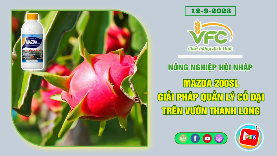 MAZDA 200SL - Giải pháp quản lý cỏ dại trên vườn thanh long | VFC - Nông nghiệp hội nhập