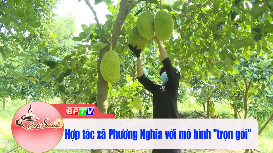 Mô hình “Trọn gói” của 1 HTX ở vùng biên |Cà phê sáng 4-4-2022 |BPTV