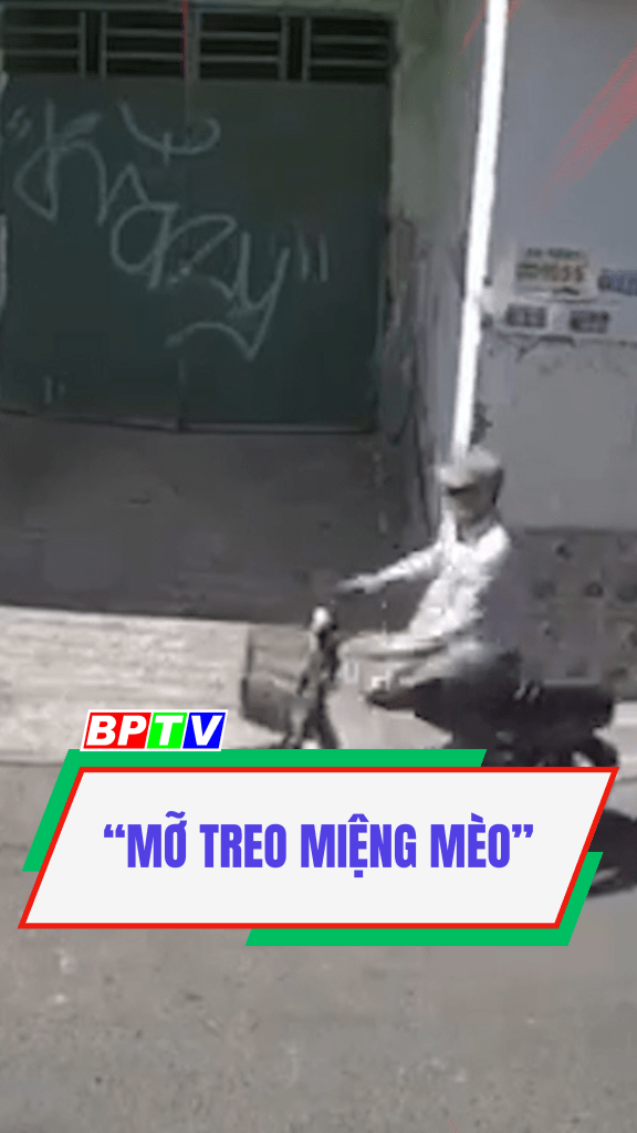 &ldquo;Mỡ treo miệng m&egrave;o&rdquo; #shorts