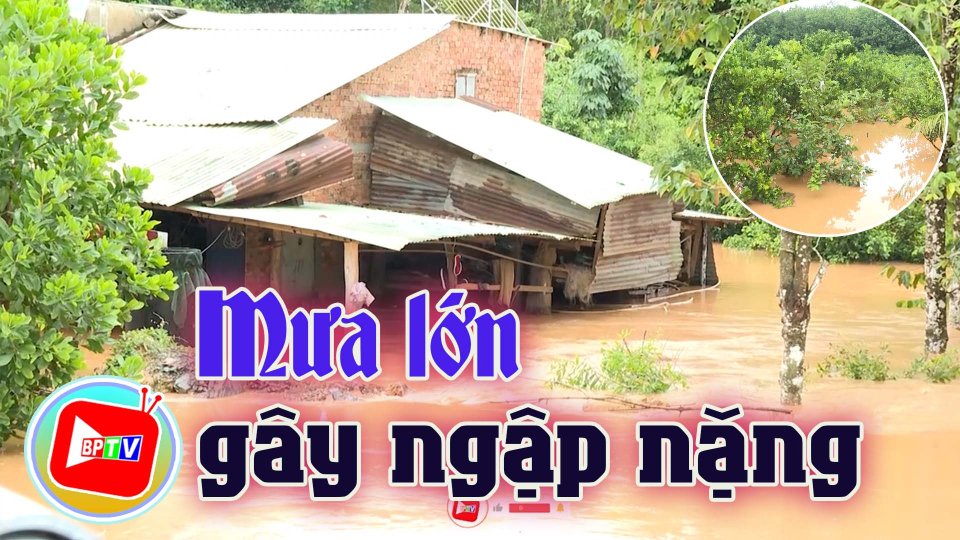 Mưa lớn gây ngập nặng nhiều nơi ở huyện Đồng Phú |BPTV