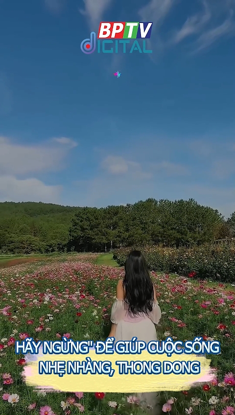  Muốn cuộc sống nhẹ nhàng, thong dong thì phải biết những chữ NGỪNG này nhé bạn #shorts