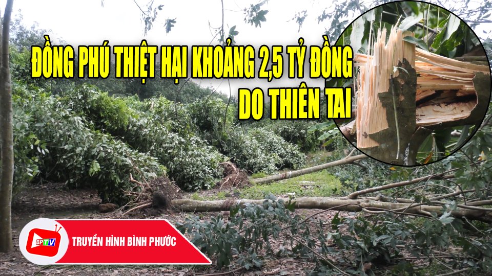 Năm 2022, Đồng Phú thiệt hại khoảng 2,5 tỷ đồng do thiên tai ||BPTV