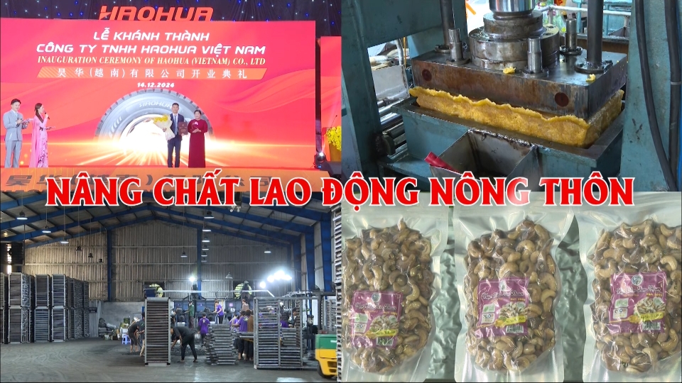 Nâng chất lao động nông thôn