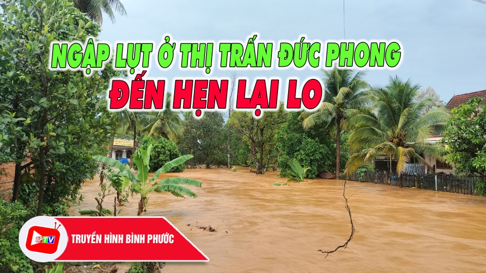 Ngập lụt ở thị trấn Đức Phong, Bù Đăng - Đến hẹn lại lo |BPTV