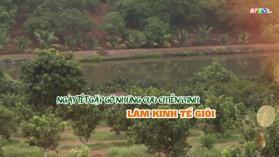 Ngày Tết gặp gỡ những cựu Chiến binh làm kinh tế giỏi