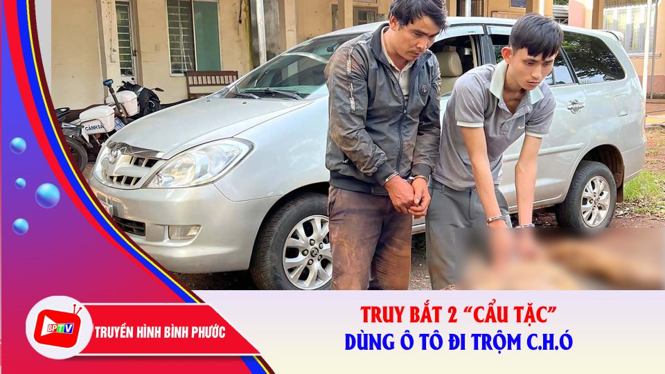 Nghẹt thở truy bắt 2 “cẩu tặc” dùng ô tô đi trộm c.h.ó |BPTV