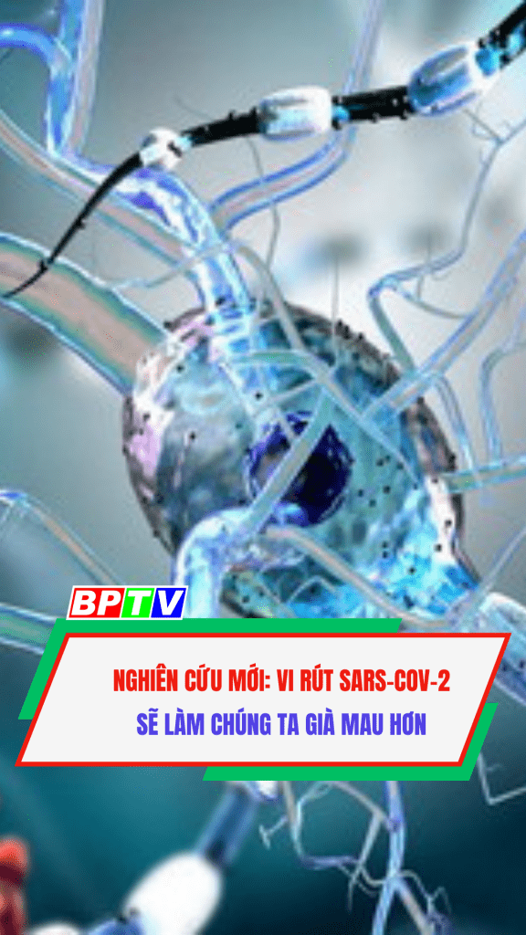 Nghi&ecirc;n cứu mới: Vi r&uacute;t Sars-Cov-2 sẽ l&agrave;m ch&uacute;ng ta gi&agrave; mau hơn #shorts