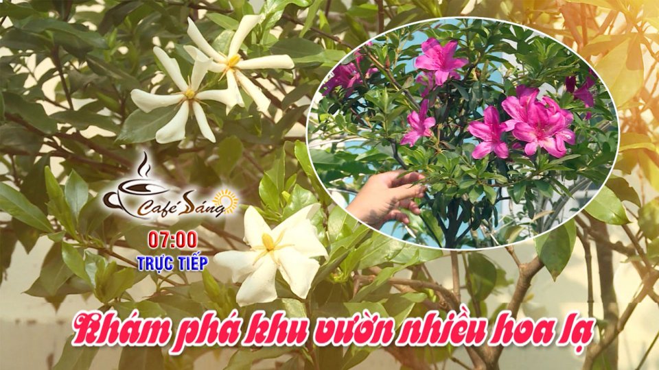 Ngỡ ngàng với khu vườn nhiều hoa kiểng lạ ở Đồng Xoài |Cà phê sáng 16-3-2022 |BPTV