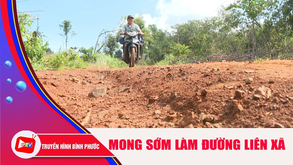 Người dân mong sớm làm đường liên xã Tân Hưng - Tân Phước |BPTV