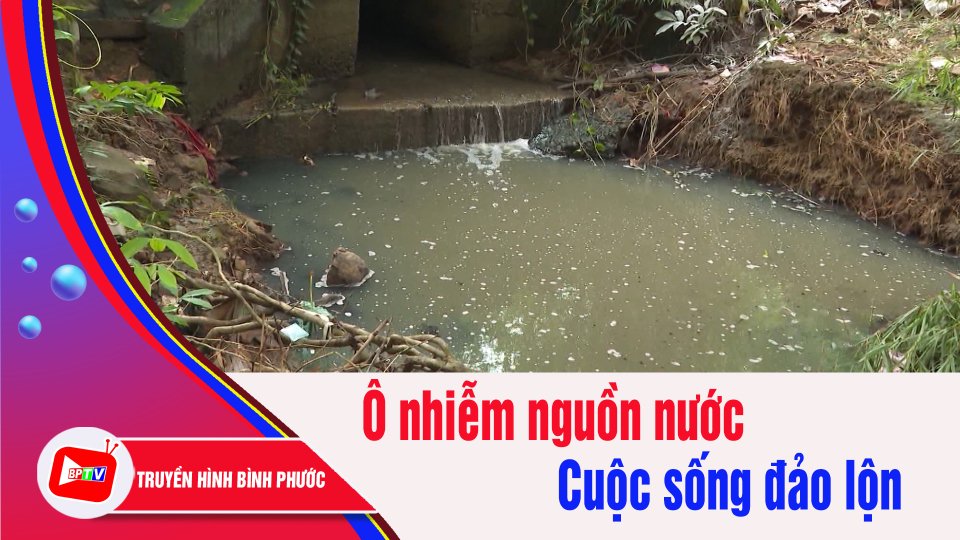 Người dân “kêu cứu” bên dòng suối ô nhiễm | BPTV
