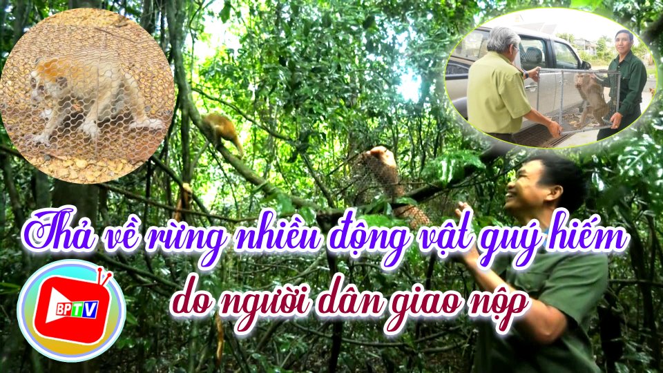 Người dân tự nguyện giao nộp nhiều động vật quý hiếm 