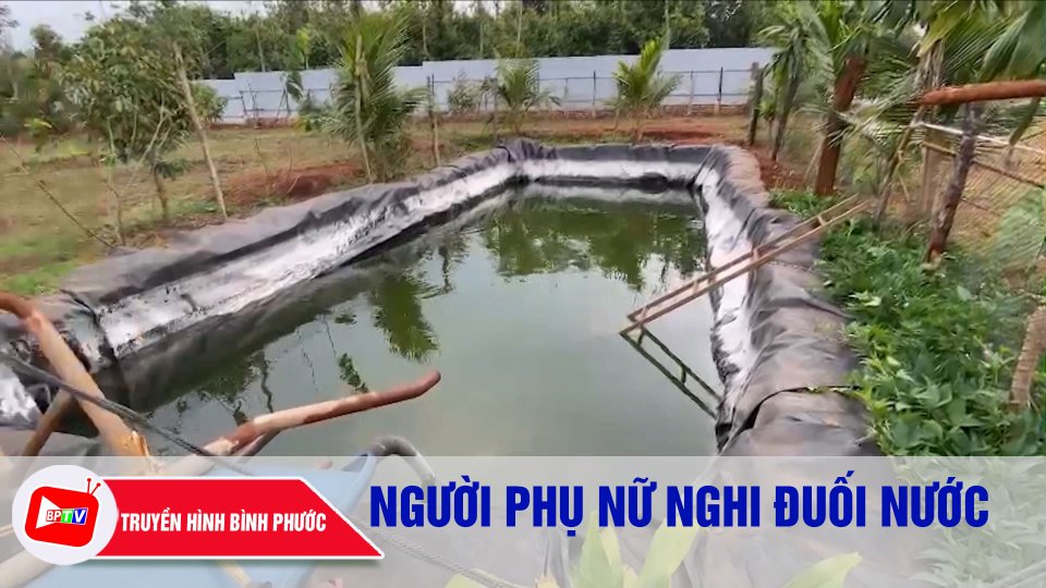 Người phụ nữ nghi đuối nước dưới hồ tự tạo sau nhà |BPTV