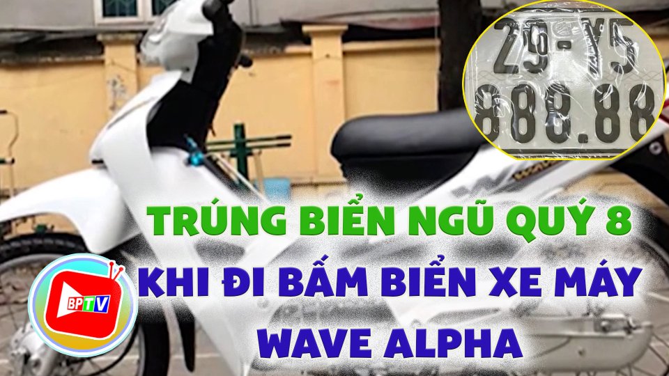 Người phụ nữ ở Hà Nội có “bàn tay vàng” bấm trúng biển số ngũ quý 8 cho xe Wave Alpha |BPTV
