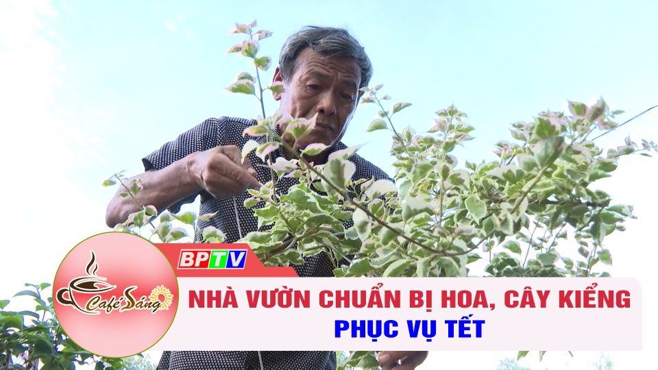 Nhà vườn chuẩn bị hoa, cây kiểng phục vụ Tết | Cà phê sáng 8-12-2022 || BPTV