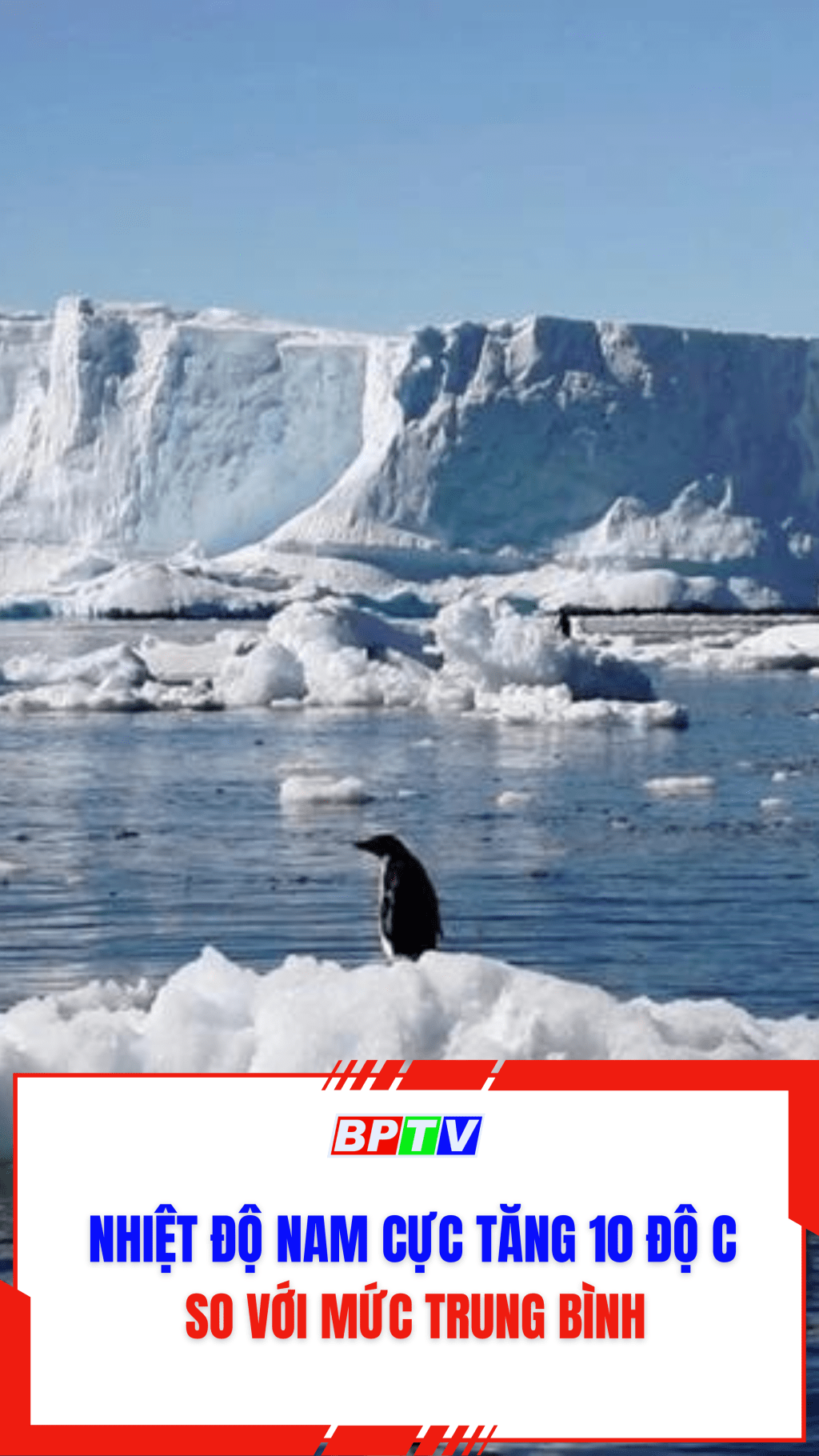 Nhiệt độ Nam Cực tăng 10 độ C so với mức trung b&igrave;nh #shorts