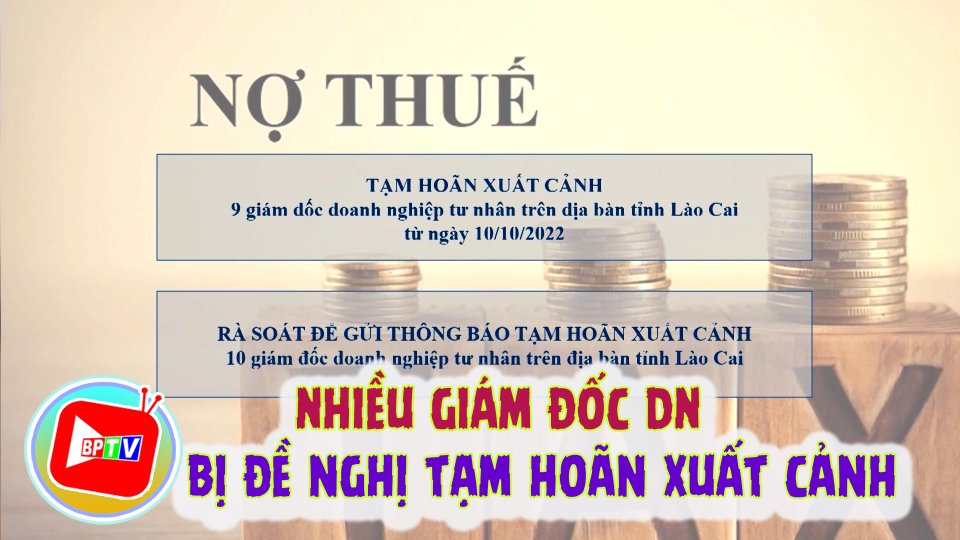 Nhiều giám đốc doanh nghiệp ở Lào Cai bị đề nghị tạm hoãn xuất cảnh vì nợ thuế 