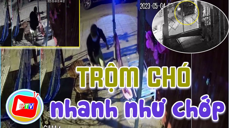 Nhóm người đi ô tô dùng súng điện trộm c-h-ó nhanh như chớp ở Bù Đăng 