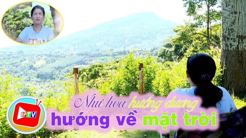 Như hoa hướng dương hướng về mặt trời 