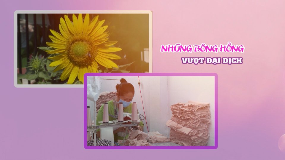 NHỮNG BÔNG HỒNG VƯỢT ĐẠI DỊCH