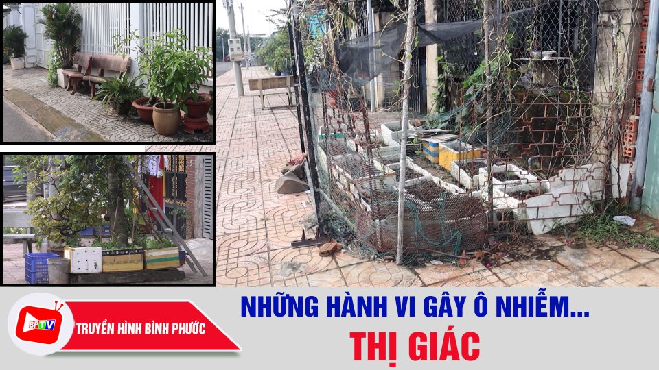 Những hành vi gây ô nhiễm… thị giác |BPTV