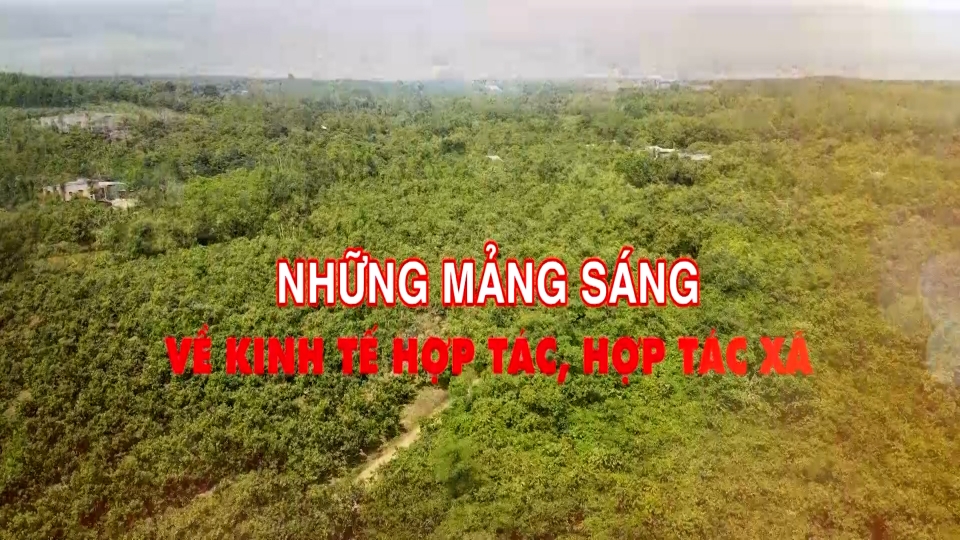 Những mảng sáng về kinh tế hợp tác, hợp tác xã