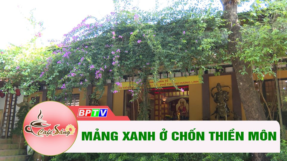 Những mảng xanh ở chốn thiền môn | Cà phê sáng 10-12-2022 || BPTV