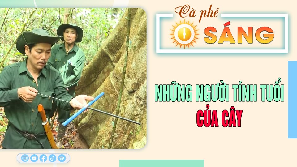 Những người tính tuổi của cây |Cà phê sáng 18-7-2023 ||BPTV