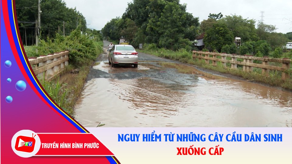 Nỗi lo trên những cây cầu... ngập nước |BPTV