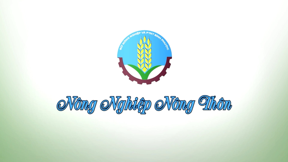 Nông nghiệp nông thôn 12-4-2025