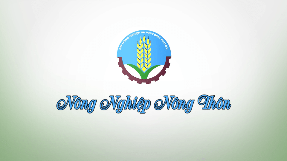Nông nghiệp nông thôn 26-10-2024 	