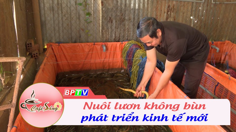 Nuôi lươn không bùn tạo ra một hướng phát triển kinh tế mới | Cà phê sáng 2-1-2023 || BPTV