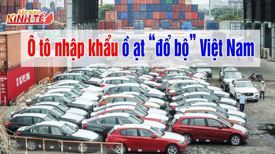 Ô tô nhập khẩu ồ ạt về Việt Nam giữa đại dịch Covid-19 |Sắc màu kinh tế 10-8-2021 | BPTV