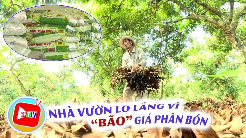 Phân bón tăng mạnh, nhà vườn lo lắng 