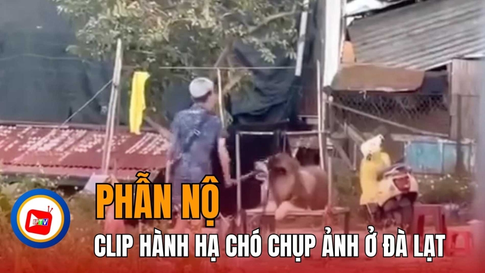 Phẫn nộ clip chó chụp ảnh với du khách ở Đà Lạt bị “tác động vật lý”