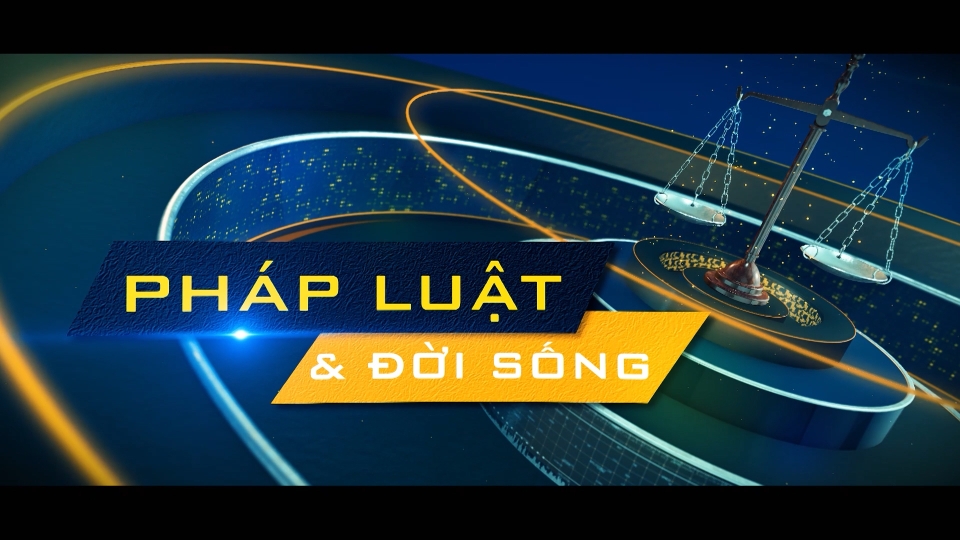 Pháp luật đời sống 29-5-2025