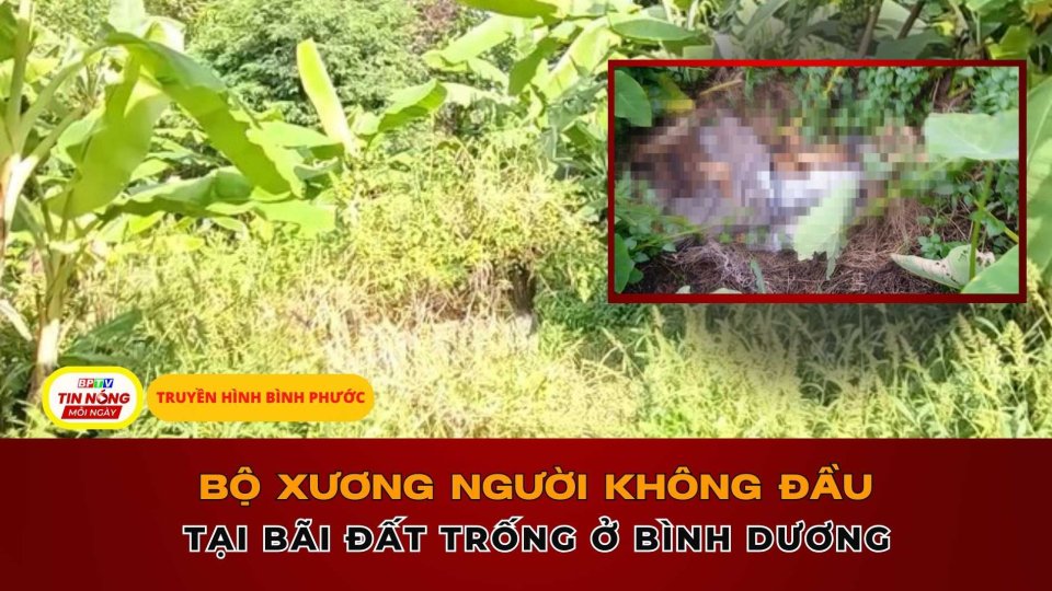 Phát hiện bộ xương người không đầu tại bãi đất trống ở Bình Dương