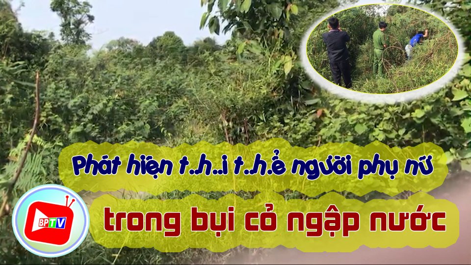 Phát hiện t..h..i t..h.ể người phụ nữ trong bụi cỏ ngập nước 