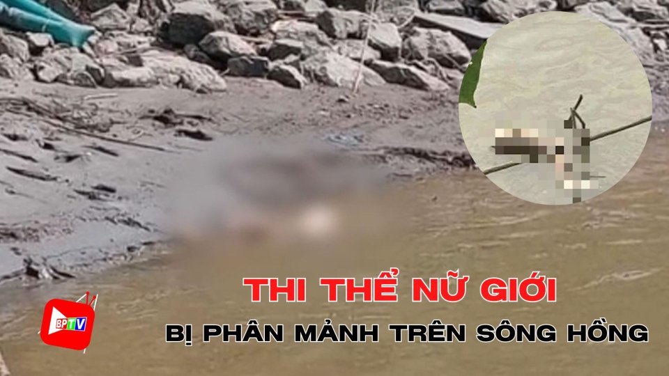 Phát hiện thi thể phụ nữ bị phân thành nhiều mảnh trôi nổi trên sông Hồng