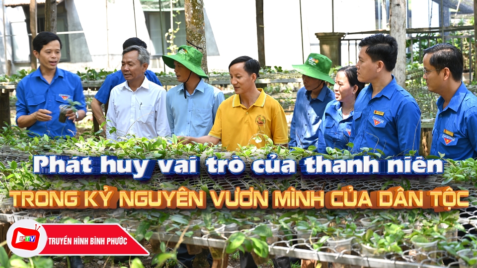 Phát huy vai trò của thanh niên trong kỷ nguyên vươn mình của dân tộc || Hành trình khát vọng | BPTV