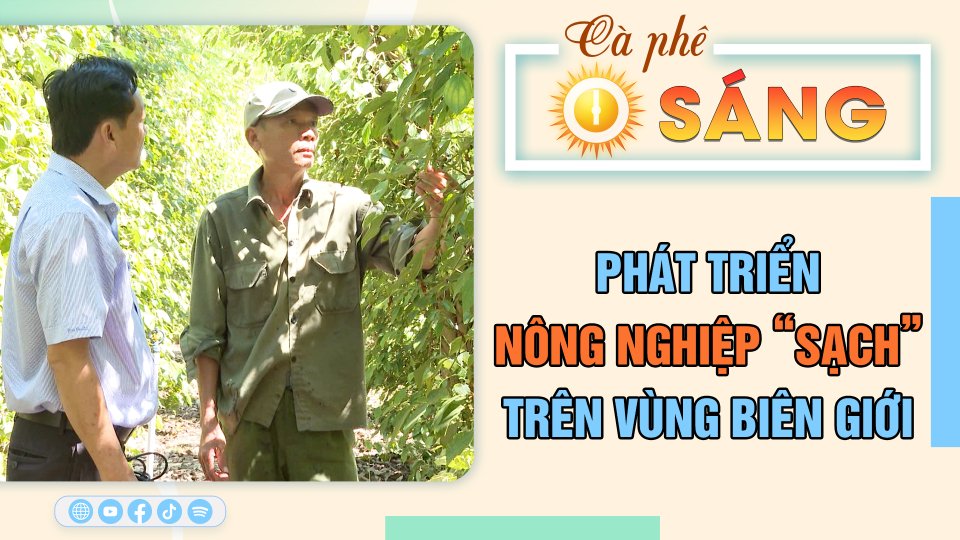 Phát triển nông nghiệp “sạch” trên vùng biên giới | Cà phê sáng 28-3-2023 || BPTV
