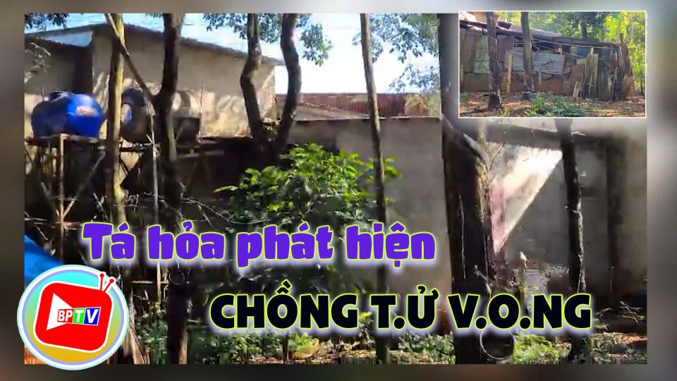 Ra sau nhà, người vợ tá hỏa phát hiện điều không ngờ 