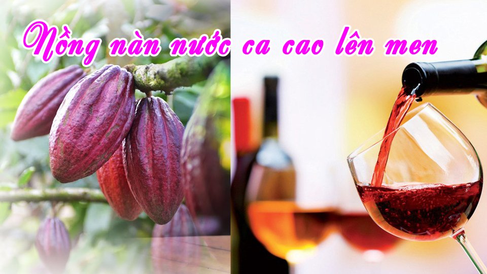 Review - Lần đầu uống rượu ca cao |BPTV