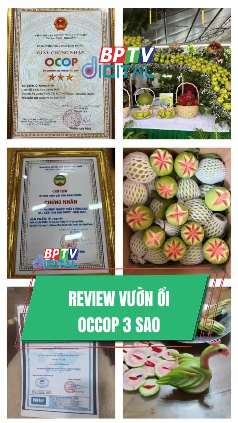 Review vườn ổi OCCOP 3 sao ở Bình Phước #shorts