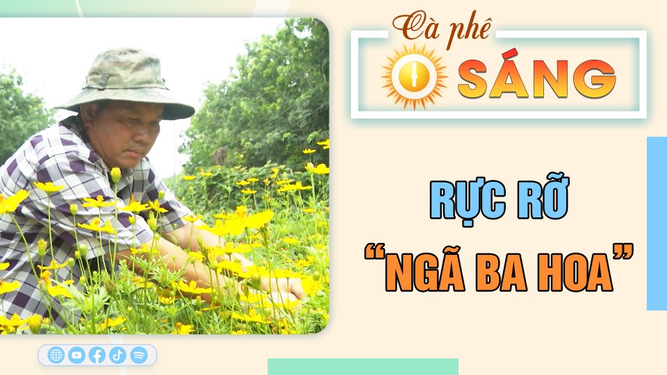 Rực rỡ “ngã ba hoa” | Cà phê sáng 3-5-2023 || BPTV