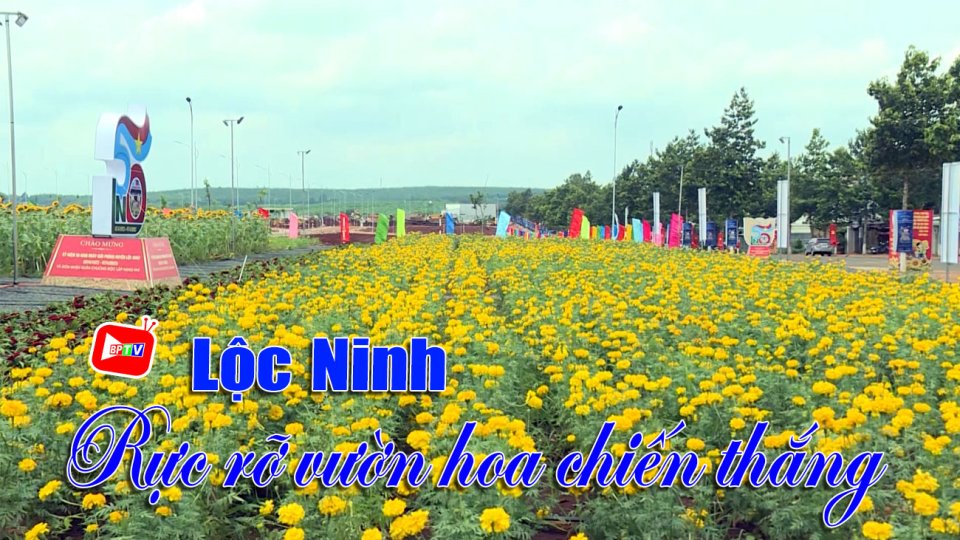 Rực rỡ vườn hoa chiến thắng ở Lộc Ninh |BPTV