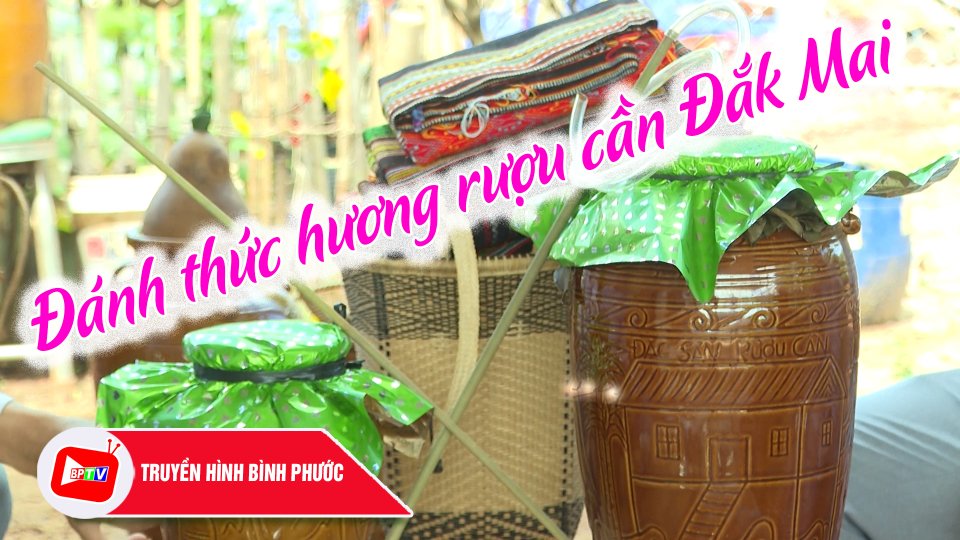 Rượu cần Đắk Mai nỗ lực xây dựng thương hiệu |BPTV