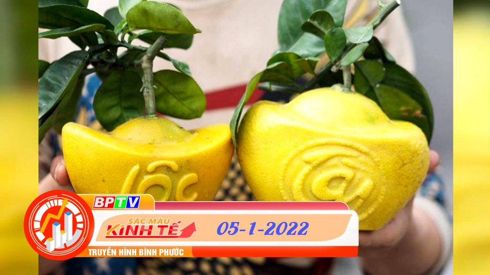 SẮC MÀU KINH TẾ 05-1-2022
