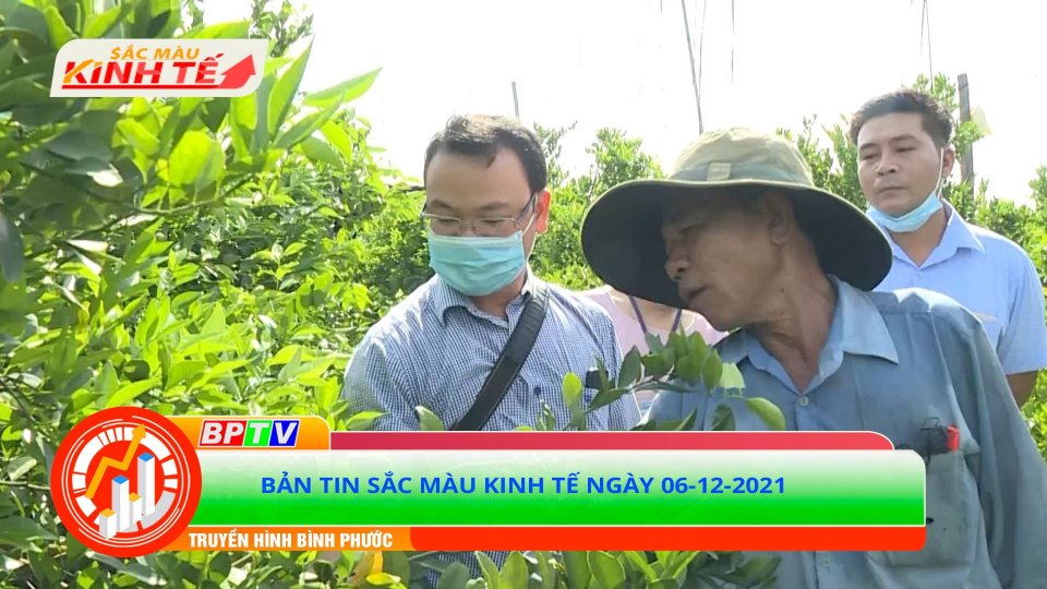 SẮC MÀU KINH TẾ 06-12-2021 