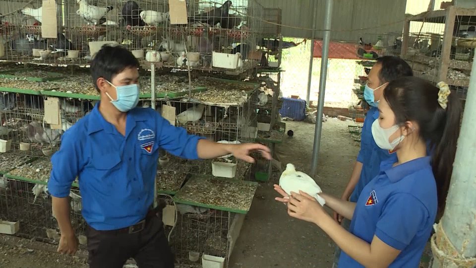 SẮC MÀU KINH TẾ 06-1-2022 